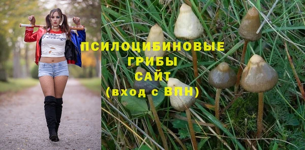круглые Вязьма
