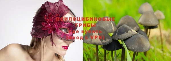 круглые Вязьма