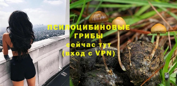 круглые Вязьма