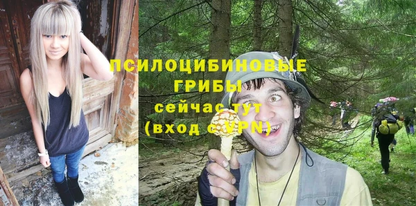 герыч Вяземский