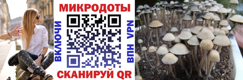 Псилоцибиновые грибы прущие грибы  Якутск 